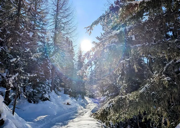 Apartment Zur Alten Post - Old Post Office *